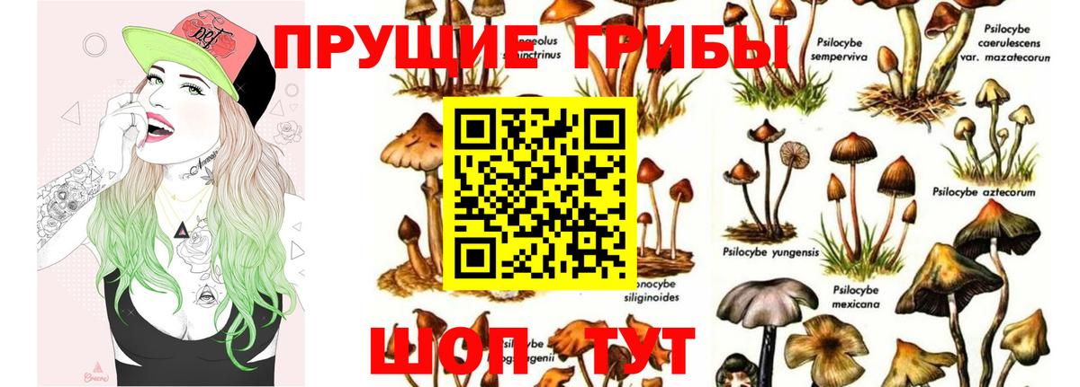 Тейково  Псилоцибиновые грибы GOLDEN TEACHER  Вход с VPN 