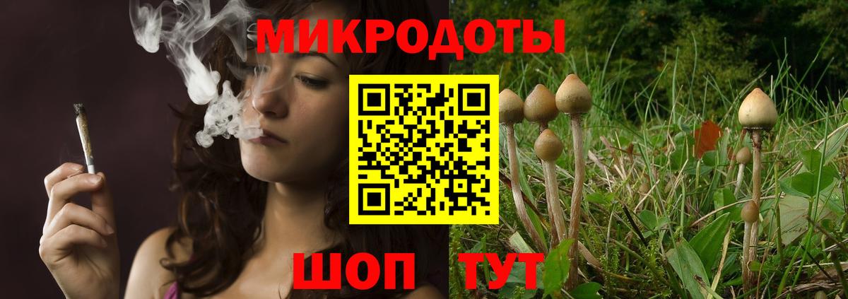Галлюциногенные грибы ЛСД Тейково